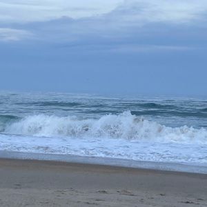 Meet your Posher, Charity